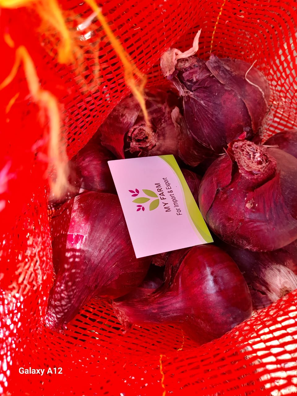 Red Onions